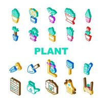 plantes en pot et accessoires de soins set vector