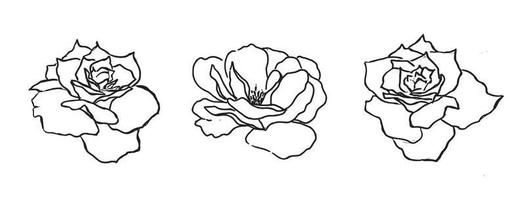 fleur rose, illustration dessinée à la main vecteur