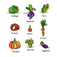 ensemble de légumes. chou, betterave, maïs, tomate, oignon, carotte, potiron, brocoli, aubergine vecteur