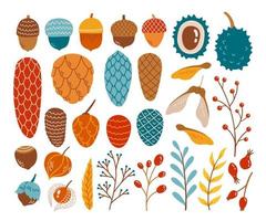 bonjour automne automne saison cône gland branche châtaigne ensemble illustration vectorielle vecteur