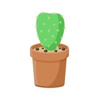 cactus vert en vecteur isolé de pot d'argile