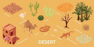 infographie isométrique du désert vecteur