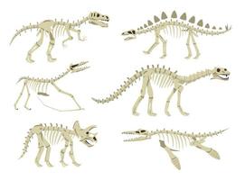 ensemble de squelette de dinosaure vecteur
