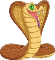 dessin animé roi cobra serpent sur fond blanc