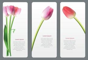 belles cartes florales avec illustration vectorielle de tulipe réaliste vecteur