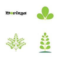 conception de vecteur d'illustration de logo de feuille de moringa