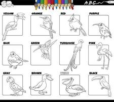 couleurs de base avec des oiseaux jeu de caractères animaux coloriage vecteur