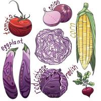 aubergine, tomate, oignon, maïs, chou rouge, radis. groupe et une trancheaubergine, tomate, oignon, maïs, chou rouge, radis. groupe et une tranche
