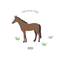 illustration éducative pour enfants avec cheval d'animaux domestiques de ferme vecteur