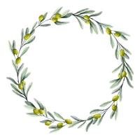 couronne d'olive. cadre rond botanique aquarelle avec branches de laurier pour les invitations de mariage ou les cartes de voeux. bordure de cercle floral pour étiquette d'huile vecteur