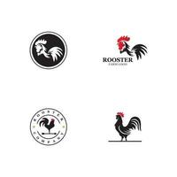 modèle de logo de coq vecteur