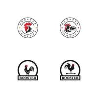 modèle de logo de coq vecteur