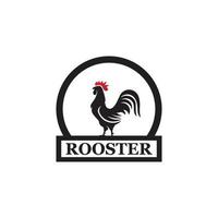 modèle de logo de coq vecteur