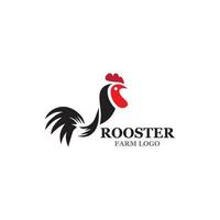 modèle de logo de coq vecteur