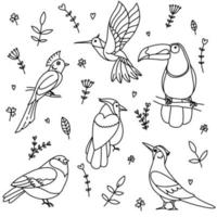 ensemble d'oiseaux de paradis fantastiques tropicaux lumineux dans un style doodle avec des ornements floraux et végétaux. collection d'autocollants, de motifs, de décors, d'imprimés vecteur