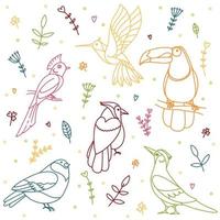 ensemble d'oiseaux de paradis fantastiques tropicaux lumineux dans un style doodle avec des ornements floraux et végétaux. collection d'autocollants, de motifs, de décors, d'imprimés vecteur