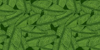 motif sans couture gravé de feuille de bananier. feuilles tropicales rétro vertes.