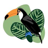 carte d'été avec toucan et feuilles de calathea sur fond abstrait, oiseau exotique tropical avec grand bec et feuilles de jungle verte illustration vectorielle vecteur