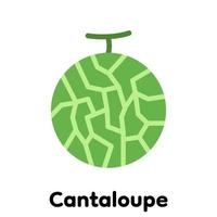 icône de cantaloup. vecteur