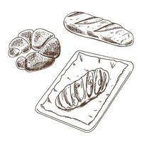 ensemble de boulangerie de style croquis dessinés à la main vintage. pain, pâtisseries et bagel sur fond blanc. illustration vectorielle. icônes et éléments pour l'impression, le web, le mobile et l'infographie. vecteur