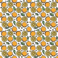 motif orange sans soudure. fond de fruits orange coloré vecteur