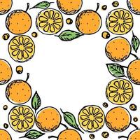motif orange transparent avec place pour le texte. fond de fruits orange coloré vecteur