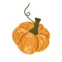 citrouille. nourriture de légumes. décoration d'automne, d'automne, d'action de grâces et d'halloween. main dessiner illustration de dessin animé de vecteur isolé sur fond blanc.