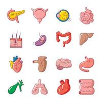 ensemble d'icônes d'organes humains internes, style dessin animé vecteur