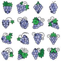 jeu d'icônes de fruits de raisin, style de contour vecteur