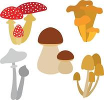 ensemble de différents types de champignons isolés sur fond blanc. comestible et toxique. amanite girolle cèpes cèpes faux champignons. illustration vectorielle. vecteur