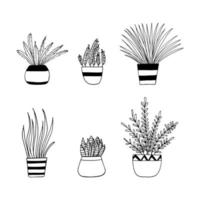 les plantes d'intérieur en pots définissent l'icône dessinée à la main. , minimalisme, scandinave, monochrome, fleurs de plantes autocollant nordique vecteur