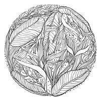mandala de plumes zentangle, page pour livre de coloriage adulte, élément de conception vectorielle. mandala de doodle rond ornemental isolé sur fond blanc. rosace numérique. vecteur
