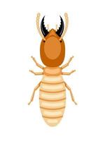 illustration vectorielle, termites ou isoptères, isolés sur fond blanc. vecteur