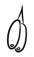 dessin linéaire vectoriel d'argousier sur fond blanc