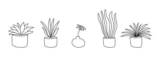 ensemble de fleurs pour la maison. les fleurs en pots sont dessinées avec une ligne noire sur fond blanc. lignes de dessin vectoriel