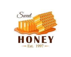 coulées de miel avec nid d'abeille vecteur