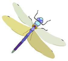 illustration vectorielle isolée de libellule. vecteur