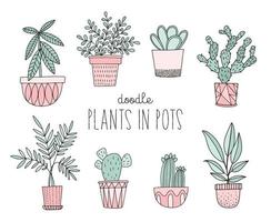 plantes en pot dessinées à la main. succulentes et autres plantes en pots de style doodle. vecteur