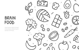 doodle dessiné à la main d'articles sur le thème de la nourriture cérébrale. baies et légumes, noix et œufs, poisson et chocolat. modèle de bannière Web. illustration vectorielle. vecteur