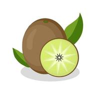 kiwi fruit illustration.kiwi fruit icon.fruits vecteur