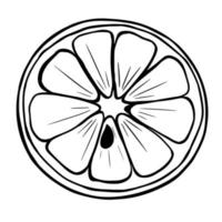 doodle noir d'un citron. illustration d'agrumes dessinée à la main. vecteur