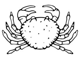 icône de ligne de crabe, illustration vectorielle de fruits de mer. vecteur