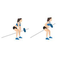 femme faisant penché sur deux bras long barbell. t-bar rows exercice illustration vectorielle plane isolée sur fond blanc vecteur