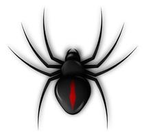 icône d'araignée pour la décoration de bannière web halloween. insectes venimeux dangereux. porteurs de maladies. chasseur impitoyable. vecteur réaliste