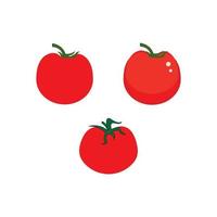 vecteur de logo de tomate