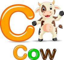 animaux alphabet c est pour vache vecteur