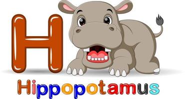 animaux alphabet h est pour hippopotame vecteur