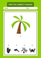 trouver le bon jeu d'ombres avec cocotier. feuille de travail pour les enfants d'âge préscolaire, feuille d'activité pour enfants vecteur