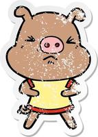autocollant en détresse d'un cochon en colère de dessin animé portant un tee-shirt vecteur