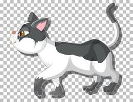 chat qui marche personnage de dessin animé vecteur